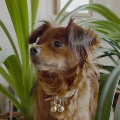 Andrey Cheremushkin, 31.01.1983, Санкт-Петербург