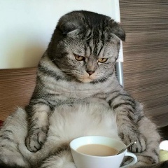 Андрей Мосалев, 27.05.1993, Москва