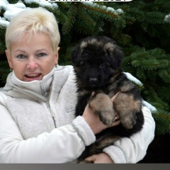 Марина Симонова, Санкт-Петербург