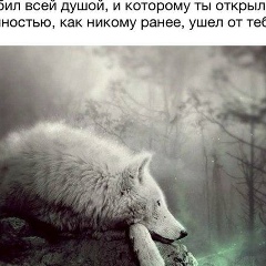 Исмайл Еркебулан, 06.06, Шымкент