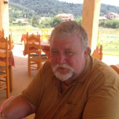 Владимир Лобанов, Воронеж