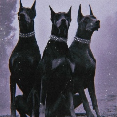 Максим Давыдов, 01.07.1997, Ульяновск