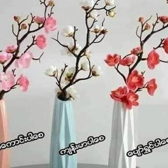 Mr Mr, 18.09.1977, Yangon