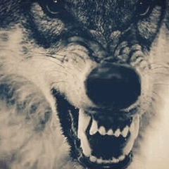 Гайни Майкопов, 26.07.1983, Астана