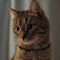 Татьяна Седова, 22.12.1981, Москва