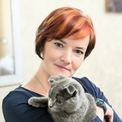 Анна Гейко, Санкт-Петербург