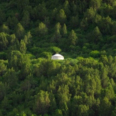 Ramazan Anarkulov, 19.11.2002, Бишкек