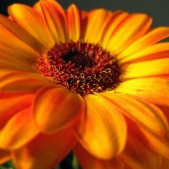 Ольга Иванова, 23.08, Красноярск