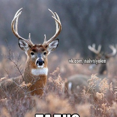 Александр Смолин, 22.12.1989, Нижний Новгород