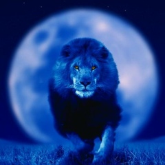 Styopa Colinson, 11.10.1989, Жуковский