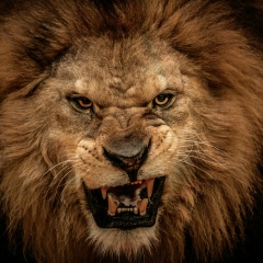 Rodion Muhamedishin, Кокшетау