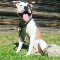 Say What, 01.12.2000