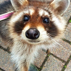 Маша Маркова, 15.03.1989, San Francisco