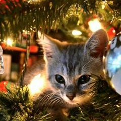 Инна Матковская, 03.03.1986, Одесса