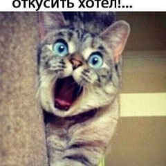 Артем Маловичко, 02.12, Каменское / Днепродзержинск