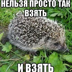 Никита Яяяя, 31.07.1985, Уфа