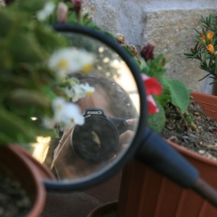 Настя Нежинцева, 22.06.1987, Кишинев