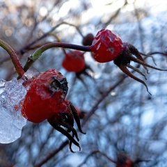 Ольга Helga, 16.10, Санкт-Петербург