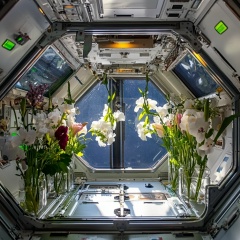 Евгений Маринкин