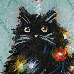 Котик Котичек, 12.12.1989, Charleroi