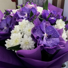 Ольга Шустикова, 31.01, Москва