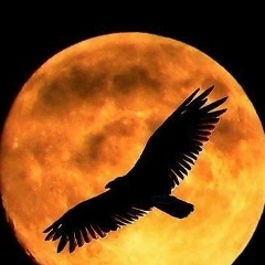 Галымжан Сариев, 15.09, Уральск