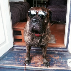 Полина Парочкина, 01.09.1990, Москва