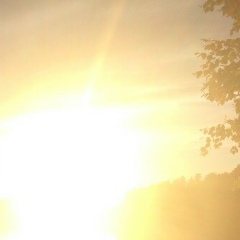 Ирина Александрова