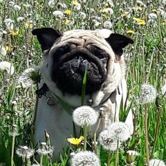 Артём Царёв, 22.01, Санкт-Петербург