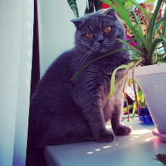 Руслан Поздняков, 02.02.1990