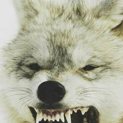 Халид Юшаев, 03.10.1991