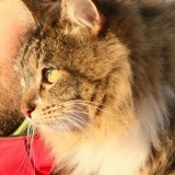 Илья Попов, 30.12, Череповец