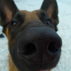 Андрей Лопатин, 17.05.1987, Санкт-Петербург