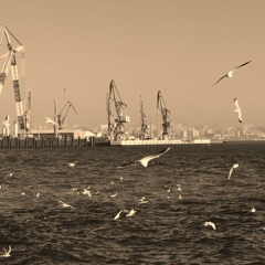 Намиг Набиев, Волгоград