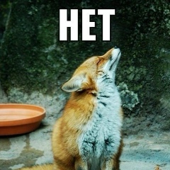 Ольга Волкова, Москва