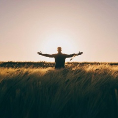 Тойлыбаев Джанибек, 01.01, New York City