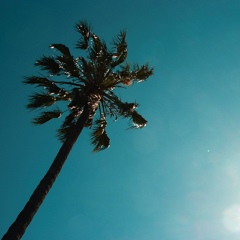 Александр Маманов, Саратов