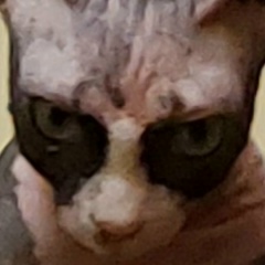 Ирина Клименко, 17.04.1983, Киев