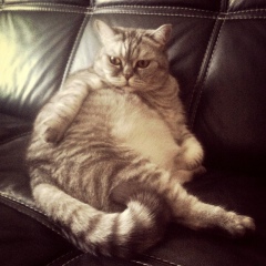 Игорь Смирнов, 27.10, Набережные Челны