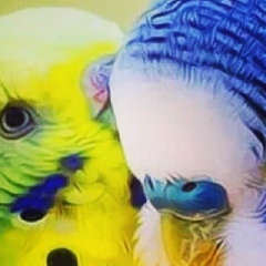 Андрей Яросвластев, 03.05.1995, Санкт-Петербург