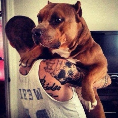 Cahit Cahitli, 08.08.1989, Баку