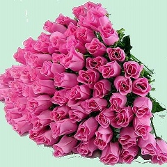 Назгуль Калабаева, 24.05.1991, Алматы