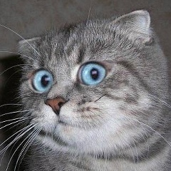 Пимен Мишуров, 30.03.1991, Сыктывкар