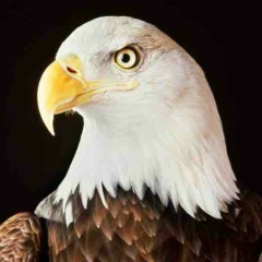 Нурдаулет Жетписов, 09.03, Шымкент