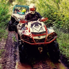 Дмитрий Теребилин, 18.10.1987, Москва