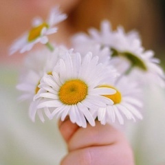 Наталия Онипко, 01.01, Ровно