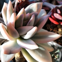 Татьяна Кирилловская, 21.03.1968, Санкт-Петербург