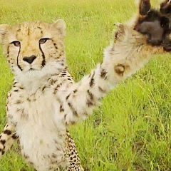 Юлия Руденко, Санкт-Петербург