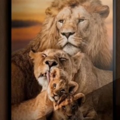 Nur Ggg, 08.03, Астана