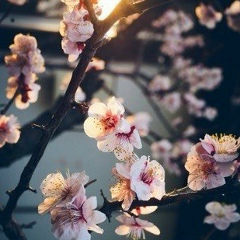 Bagdat Kozhahmetova, 07.10.1994, Алматы